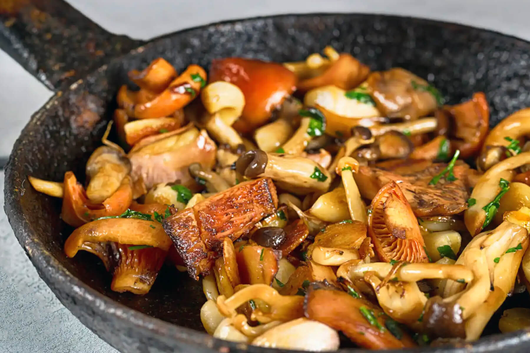 Perretxikos mushrooms